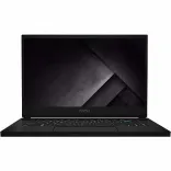 Купить Ноутбук MSI GS66 Stealth 10SE (GS6610SE-442US)