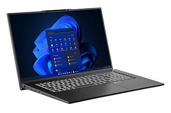 Купить Ноутбук 2E Complex Pro 17 Black (NS70PU-17UA32) - ITMag