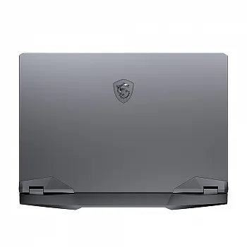 Купить Ноутбук MSI GE66 Raider 10UH (GE66 10UH-099PL) - ITMag